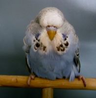 WS-Babys 2014 005.JPG